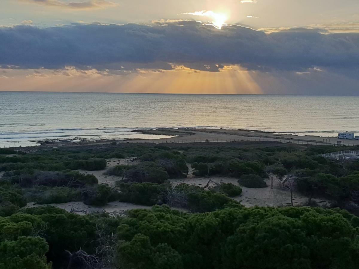 Holiday Apartments La Mata La Mata  Eksteriør bilde